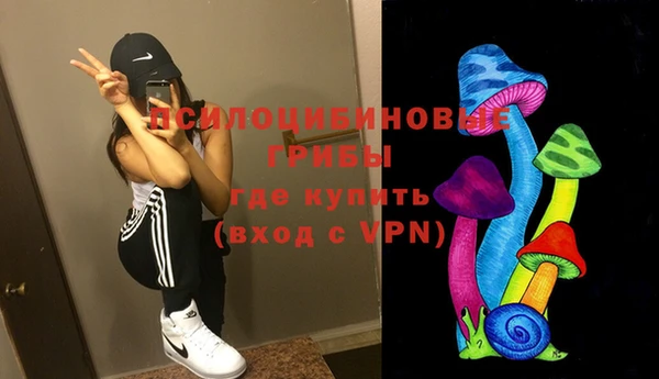 PSILOCYBIN Абинск