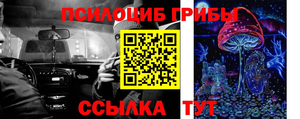 Приморско-Ахтарск  купить  сайты  Вход с VPN  Псилоцибиновые грибы мухоморы 